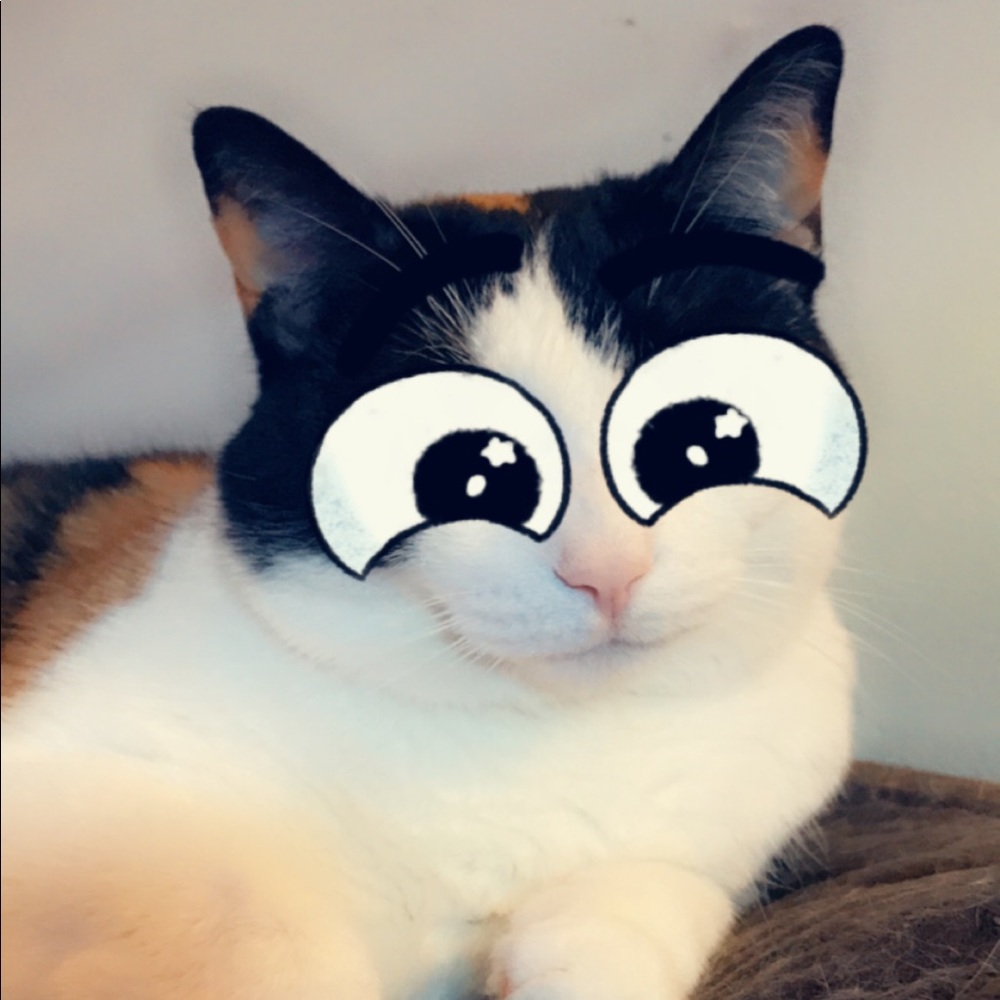 Meet your Posher, Dawn